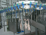 Poultry&nbsp;slaughtering&nbsp;line