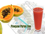 Papaya&nbsp;Juice&nbsp;Processing&nbsp;Line